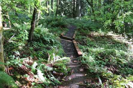 Compacted gravel edged with wide boards – deep gap between contained gravel on Jay Trail Compacted gravel edged with wide boards – deep gap between contained gravel on Jay Trail
